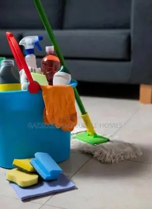 Keep Your Home And Office Clean And Spotless With Immaculate Cleaners