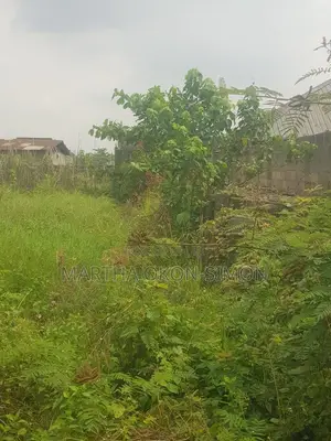 454 SQM of Land Isale Tokyo Aboru Lagos