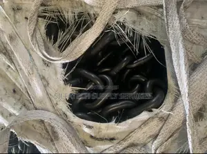Lifting Chain