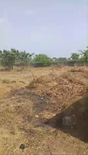 Full 4 Plots of Land With Fence for Sale