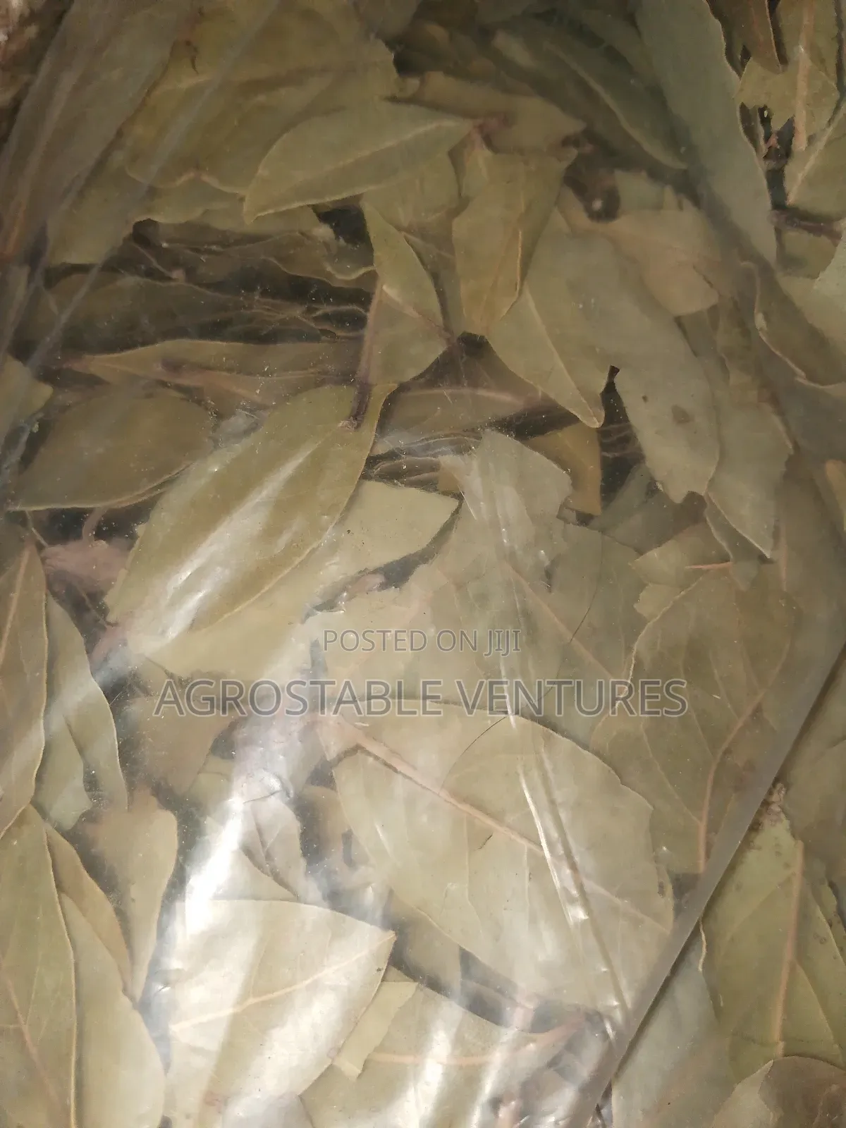 Bay Leaves 500g Pack