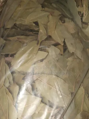 Bay Leaves 500g Pack