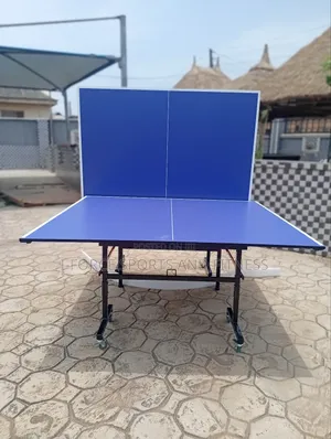 Indoor Table Tennis Board