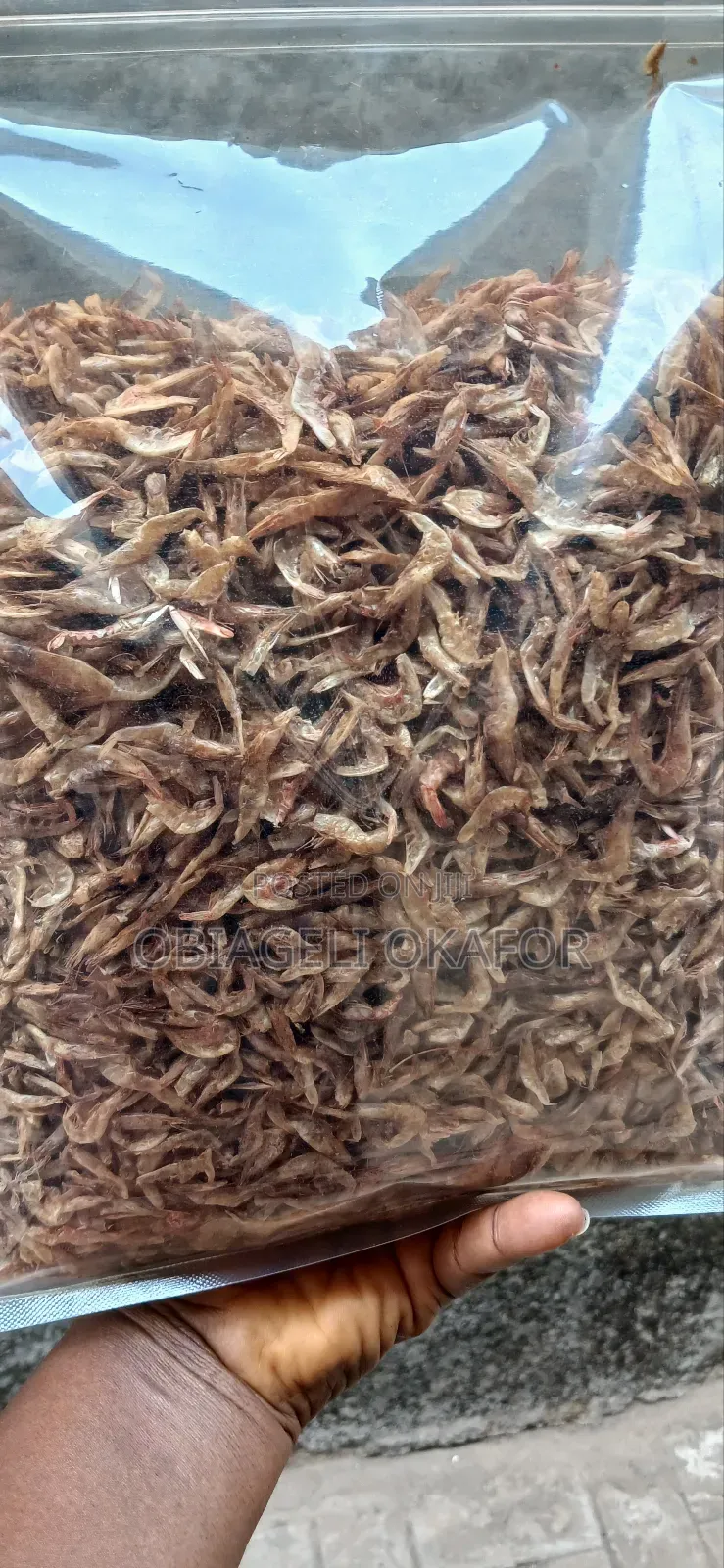 Oron Crayfish
