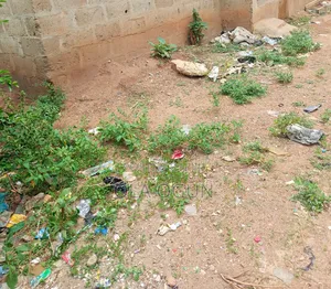 Property And Land