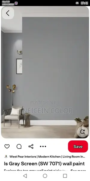 Painter Durumi