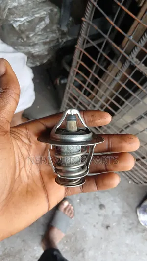 Thermostat Honda Civic 2006_2015