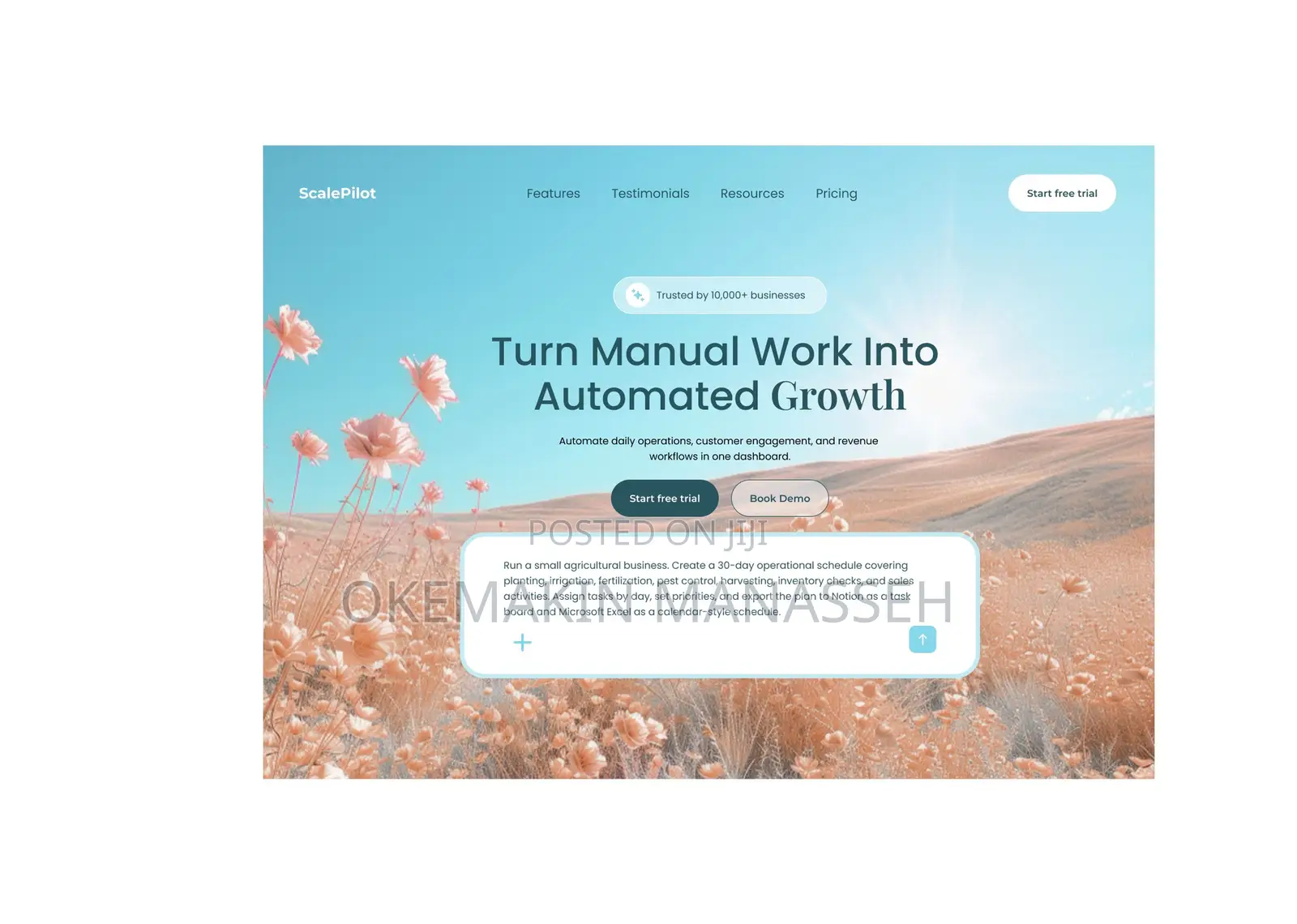 Ui/Ux Designer Website Designer for Business Growth