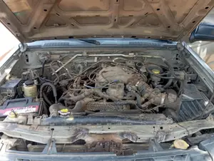 Nissan Xterra 2004 Gray