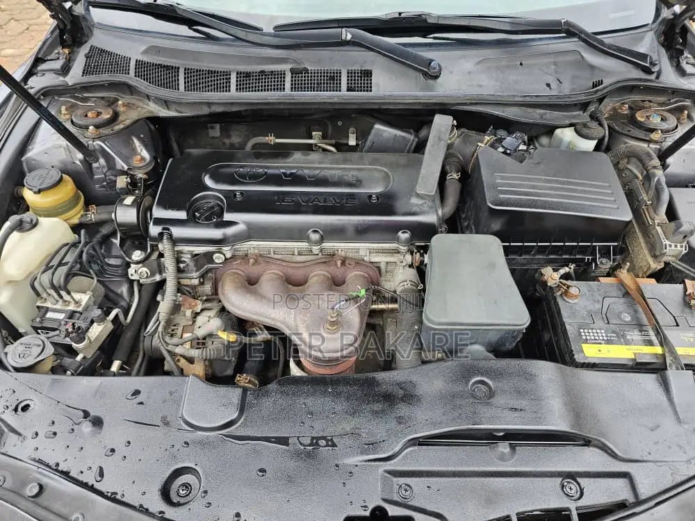 Toyota Camry 2009 Gray