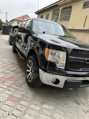 Ford F-150 Platinum 2010 Black