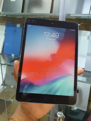 Apple iPad mini 2 16 GB