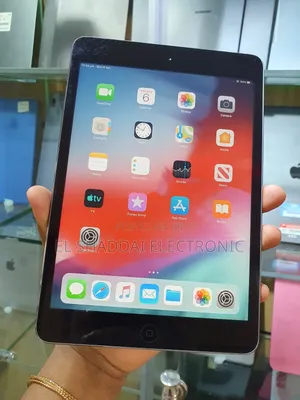 Apple iPad mini 2 16 GB