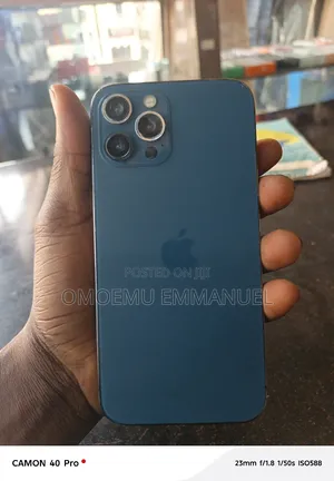 Apple iPhone 12 Pro Max 256 GB Blue