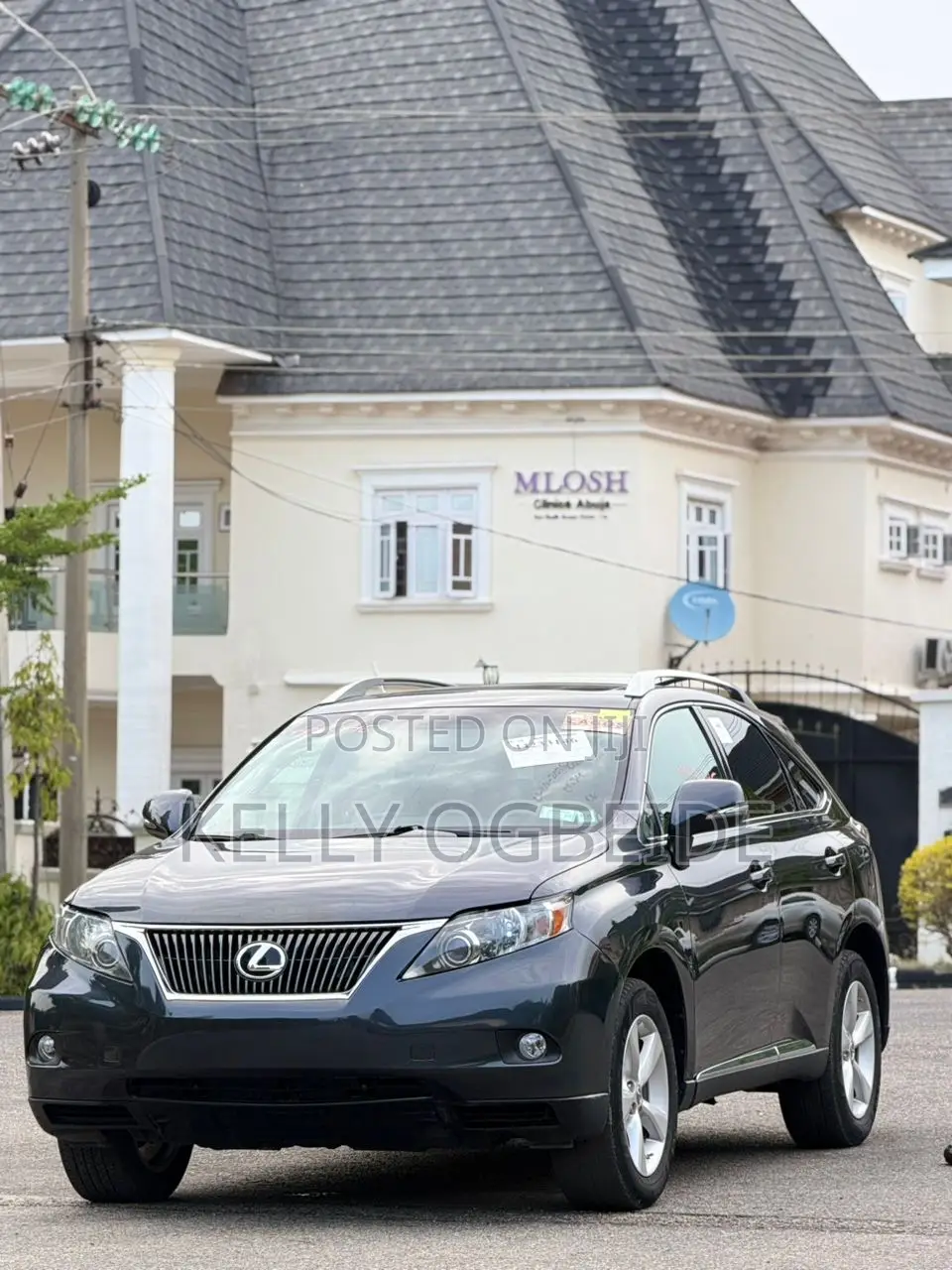 Lexus RX 2010 Gray