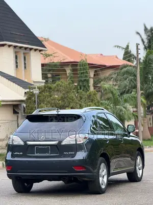 Lexus RX 2010 Gray