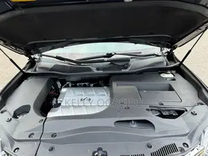 Lexus RX 2010 Gray