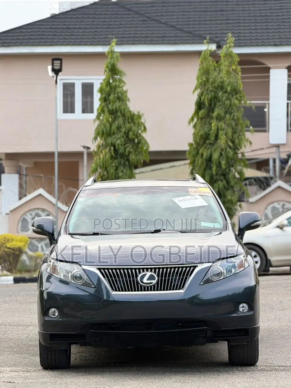 Lexus RX 2010 Gray