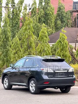 Lexus RX 2010 Gray