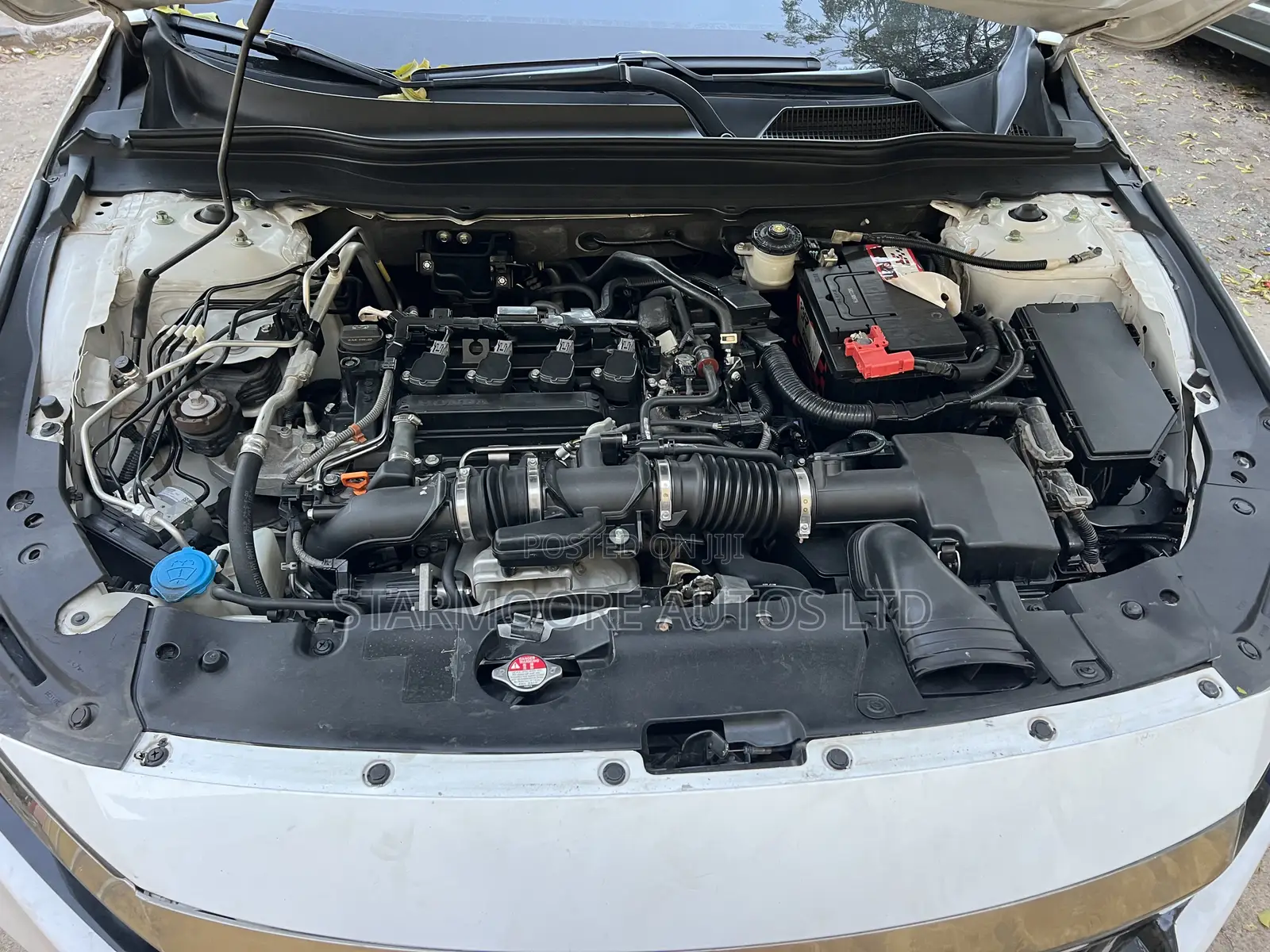 Honda Accord 2023 White