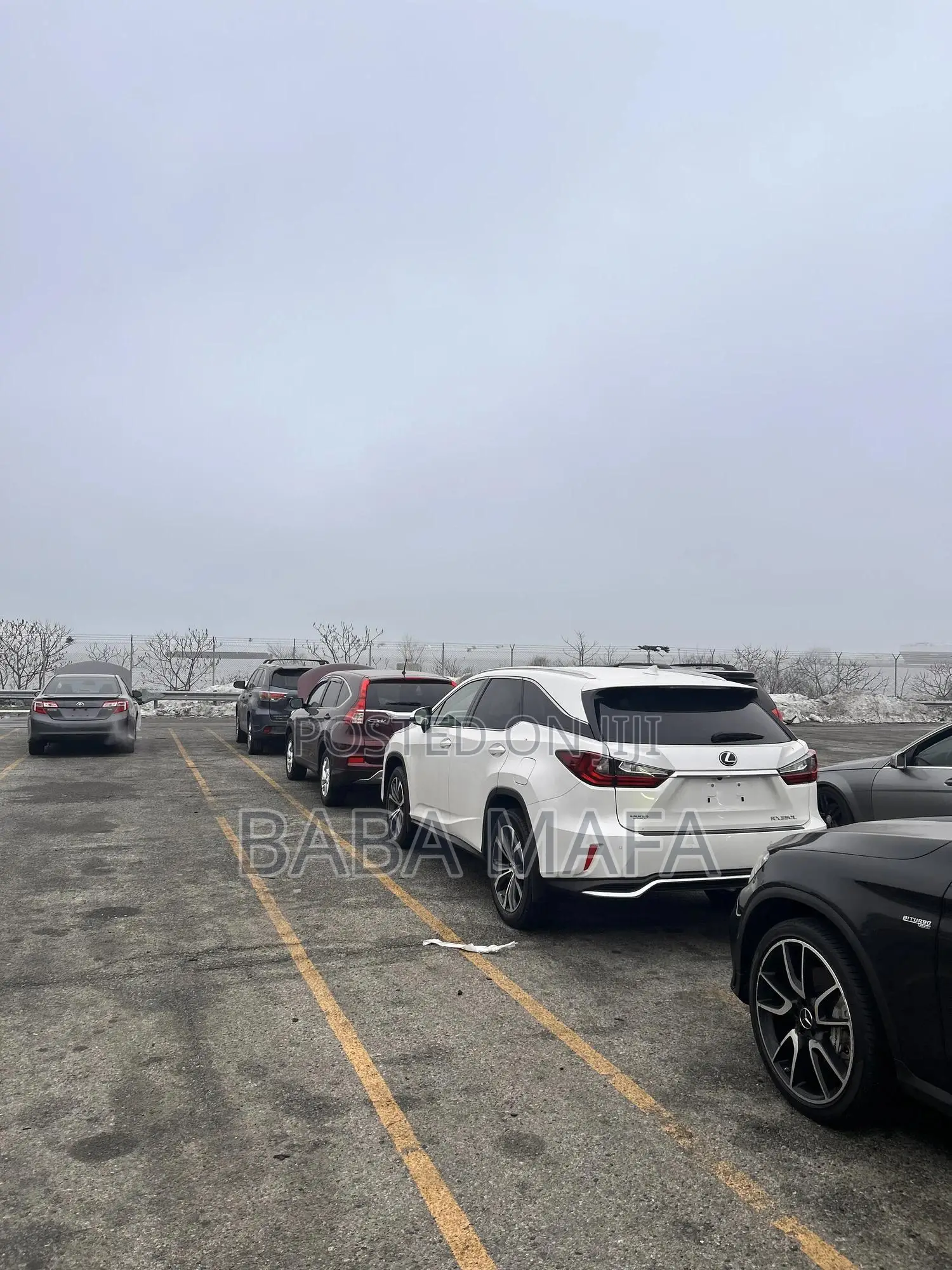 Lexus RX 300 4WD 2018 White