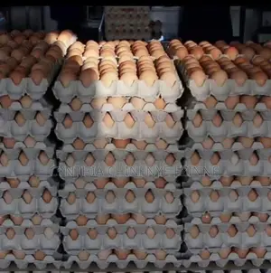 Creates of Egg