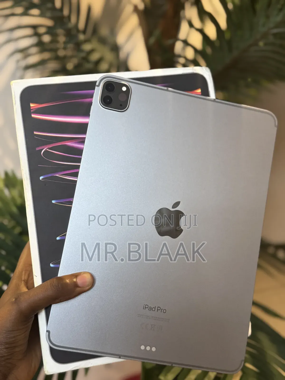 Apple iPad Pro 11 (2022) 256 GB Gray
