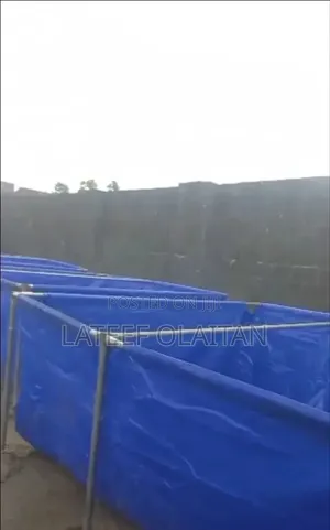 Fishpond 10x15 10x10 12x10