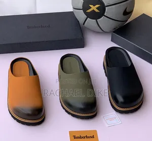 Luxury Timberland Shoe