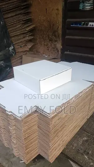 Plain White Pizza Packaging
