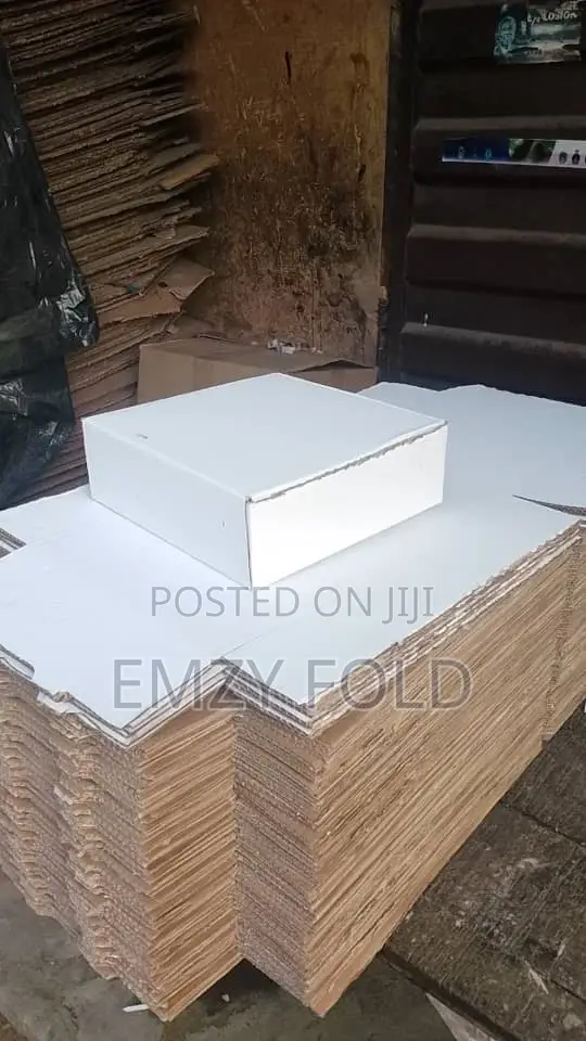 Plain White Pizza Packaging