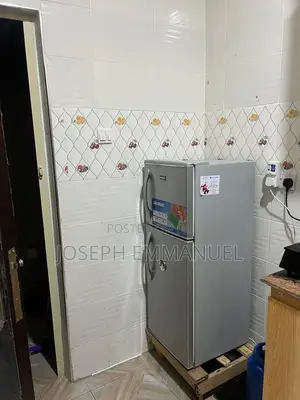 Skyrun 118l Double Door Fridge