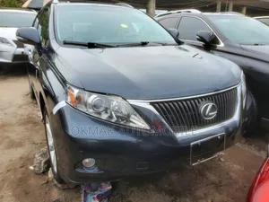 Lexus RX 350 2010 Gray