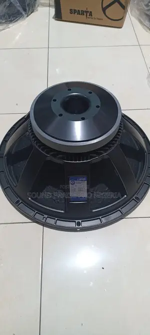 15 Inches Naked Speaker