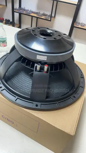 18 Inches Naked Speaker