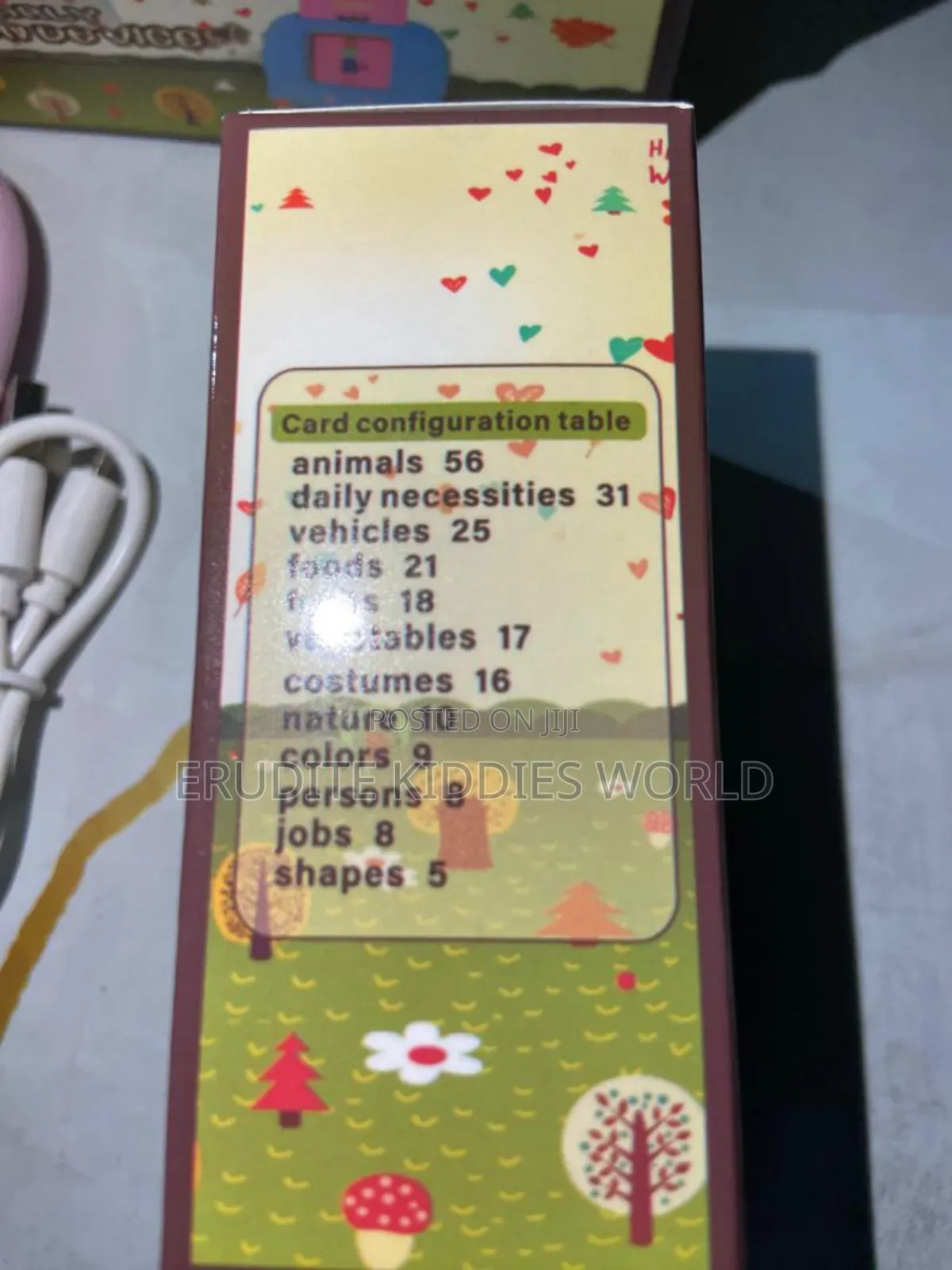 Rechargeable Talking Flashcards