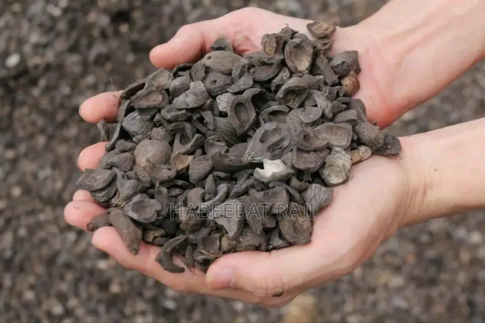 Palm Kernel Shell