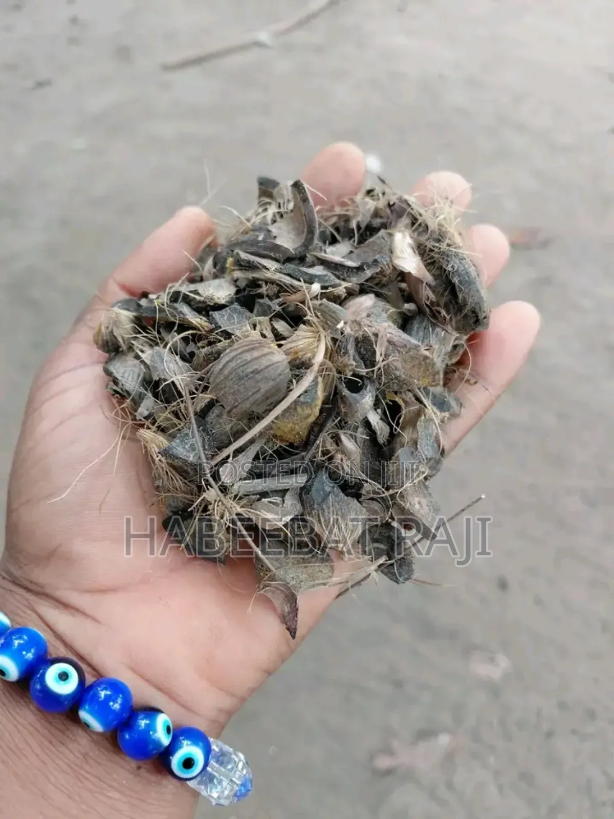 Palm Kernel Shell
