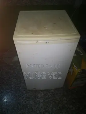 Table Top Lg Fridge