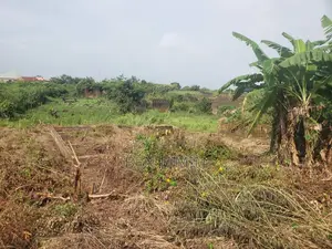 Land With 3 Bedroom Foundation on It