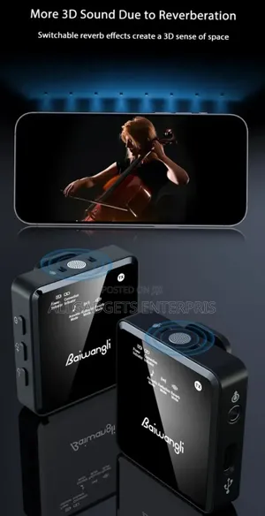 Baiwangli Sx39 Wireless Microphone