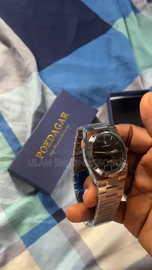 Poedagar Luxury Brand Watch