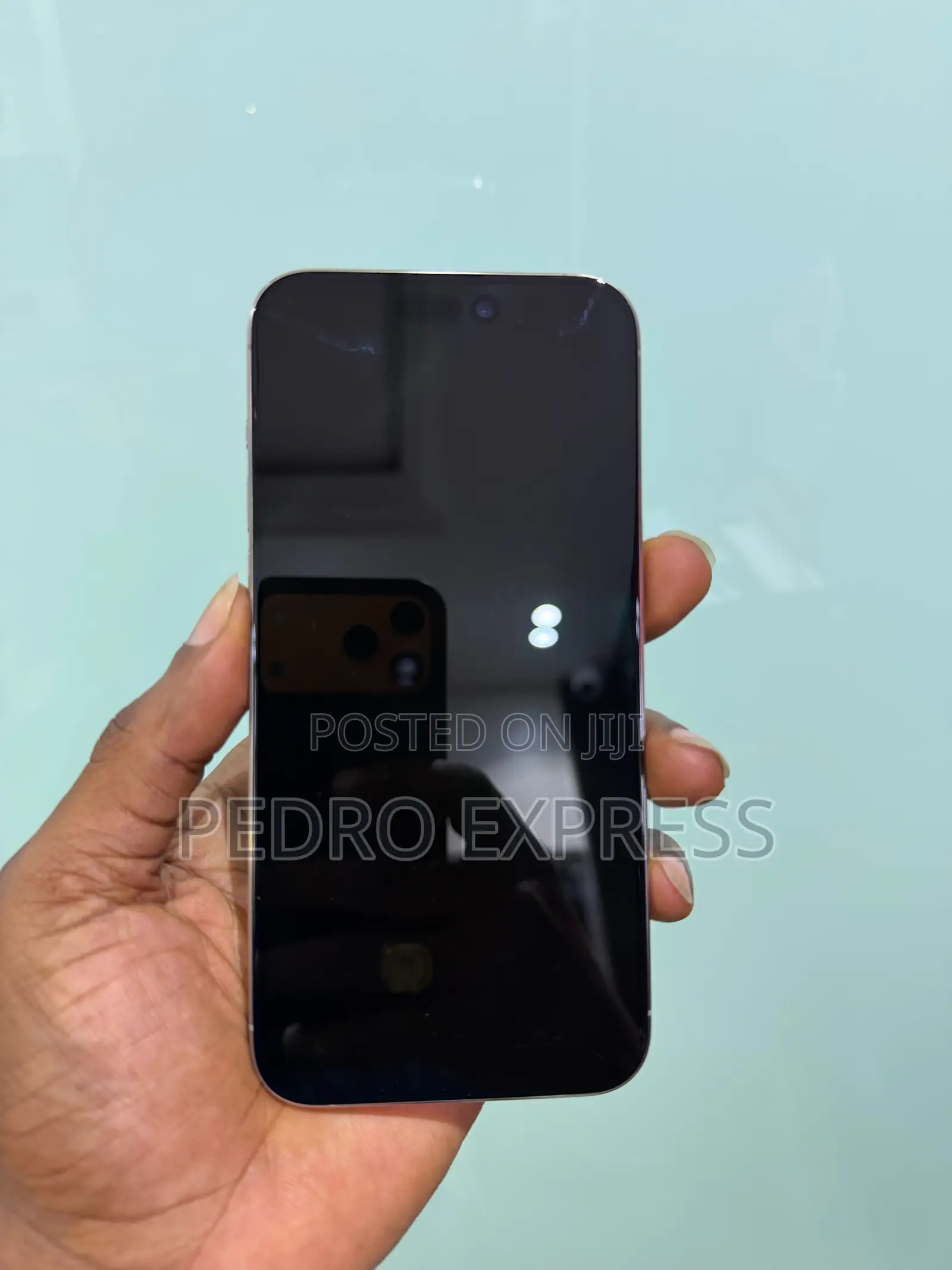 Apple iPhone 15 Pro Max 256 GB