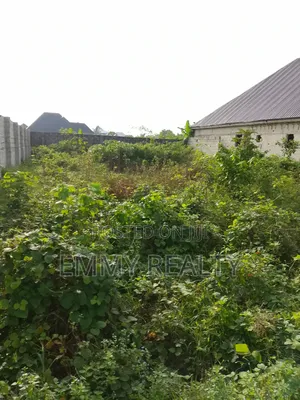 One Plot of Land for Sale With Federal Light