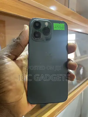 Apple iPhone 13 Pro 256 GB Gray