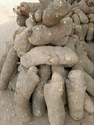 Yam Tubers