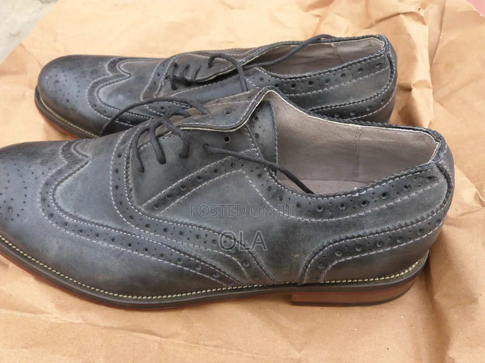 Steve Madden Oxford Wingtip "Ethin"Grey Mens