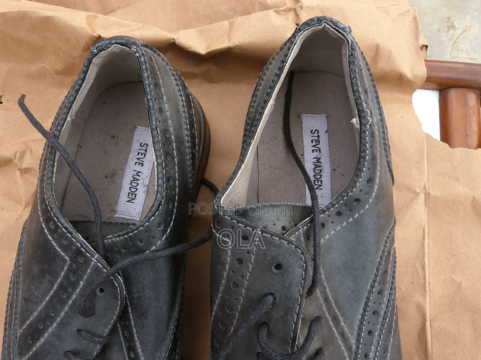 Steve Madden Oxford Wingtip "Ethin"Grey Mens