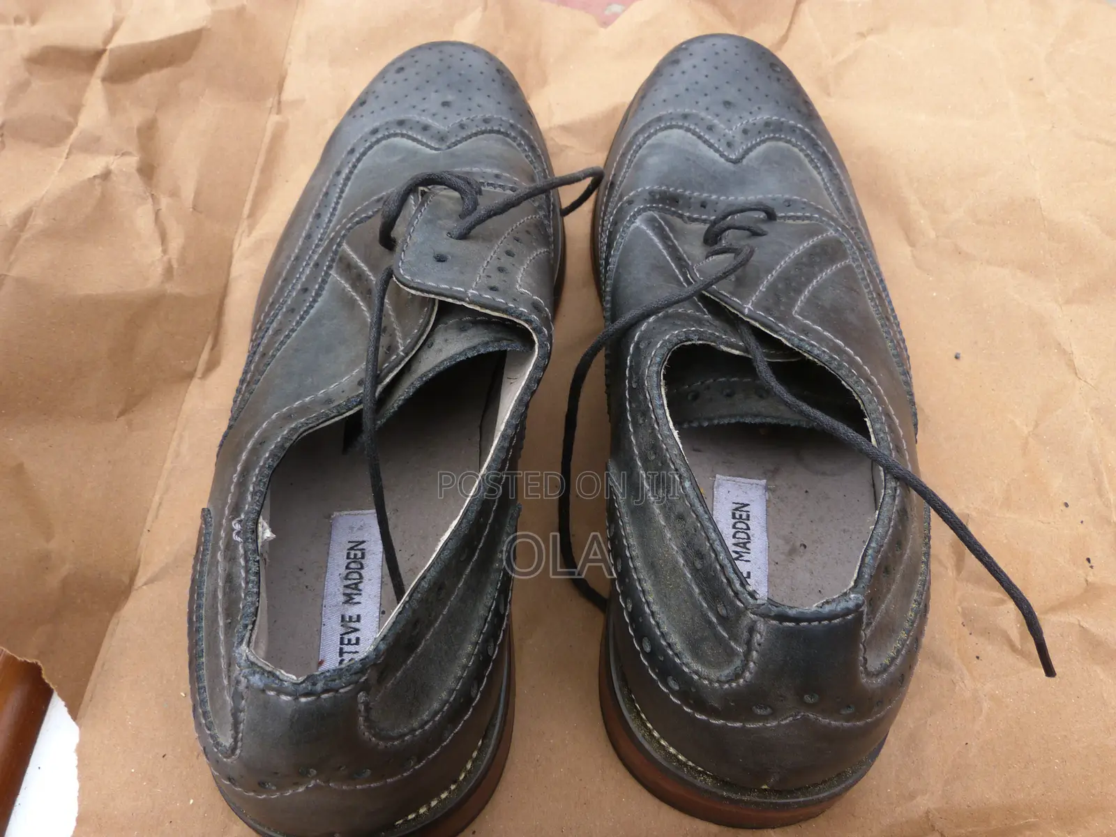 Steve Madden Oxford Wingtip "Ethin"Grey Mens