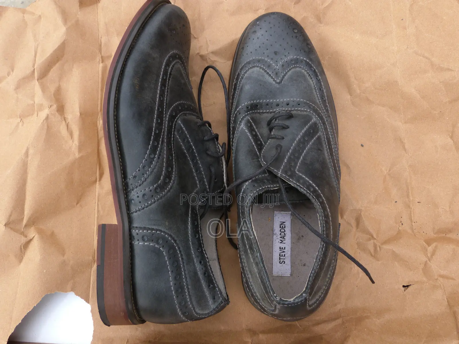 Steve Madden Oxford Wingtip "Ethin"Grey Mens